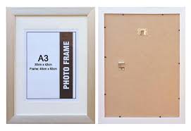 16 X20 Silver Matted Picture Frame