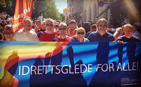 Some of these flags may not be familiar to everyone, so pinknews brings you a look at the many wonderfully bright and diverse designs. Ga Sammen Med Idretten I Pride Parade