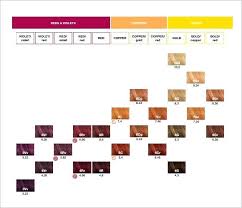 7 Hair Color Heredity Chart Coloringsite Co Hair Color