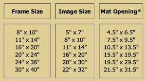 The Mat Openings And Image Sizes Are Typical Guidelines That