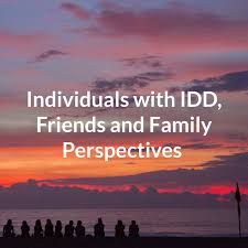 Individuals with IDD, Friends and Family Perspectives