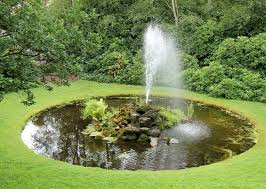 Outdoor Garden Ponds How To Take Care