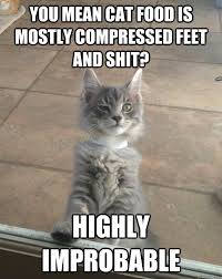 Skeptical Kitten memes | quickmeme via Relatably.com