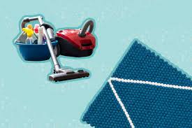 best carpet cleaning companies of 2023