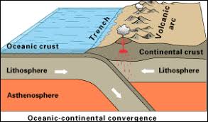There is a tectonic plate under the city.hay una placa tectónica bajo la ciudad. Plate Boundaries Plate Tectonics