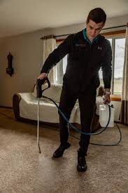 carpet cleaning terry s