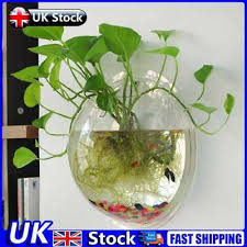 Wall Hanging Plant Bowl Viewable Fish