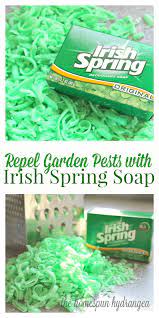 Repel Garden Pests With Irish Spring Soap