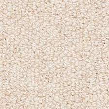 deerfield sand s carpet dee