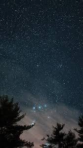 ni85 night sky star wood e starry