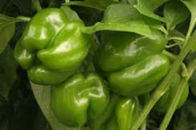 Pepper Varieties That Are Easy To Grow