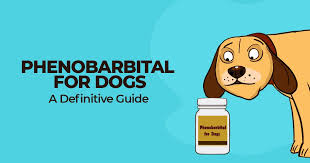 Phenobarbital For Dogs A Definitive Guide Simple Wag