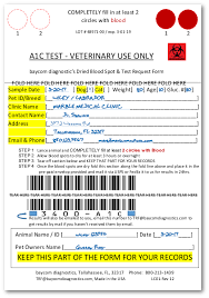A1c Test Now Available For Cats And Dogs