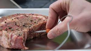 the top 3 meat thermometers recommended