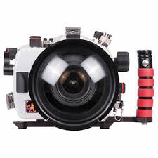 Details About Ikelite Dl 50ft Port Underwater Dslr Housing For Canon 5d Iii Iv 5ds 5ds R