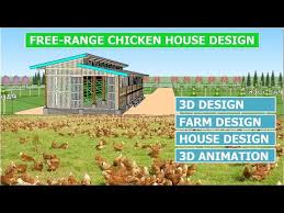 Free Range En House And Farm