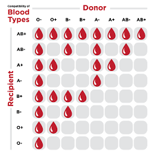 Pin By Sonja _b On Nursing Blood Type Chart Blood