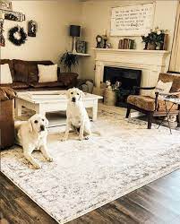 pet friendly rug