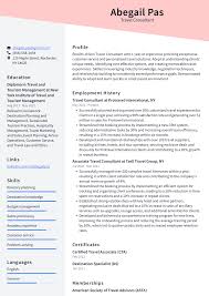 travel consultant resume exles and