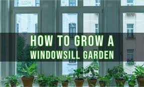 How To Grow A Windowsill Garden