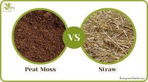 peat moss or straw for gr seed