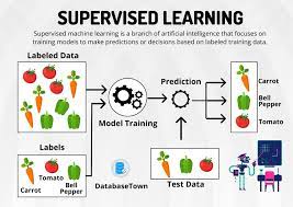 supervised learning algorithms