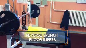 reverse crunch floor wiper exercise com