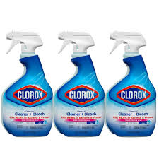 clorox clean up 32 oz rain clean scent