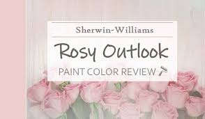 Sherwin Williams Rosy Outlook Review