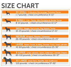 Siberian Husky Size Chart By Age Www Bedowntowndaytona Com