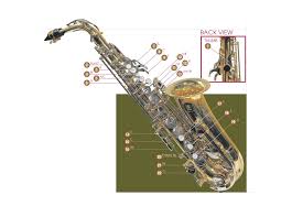 Read speed (max.) 95 mb/s. A Guide To Playing Altissimo Saxophone Making Music Magazine