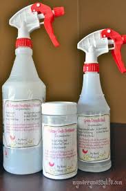 homemade green household cleaners