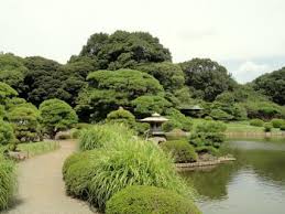 shinjuku gyoen national garden tokyo