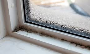 Black Mold On Window Sills Causes