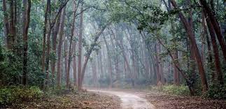 It creates noise, ::kirubiru reviews, news hardware system requirements and what specs do you need for kirubiru.:: Complete Travel Guide For Kiriburu Meghahatuburu Saranda Forest