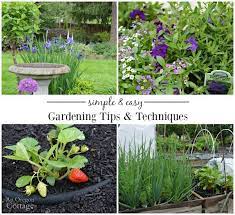 Easy Gardening Tips And Techniques