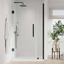 Pivot Frameless Shower Door