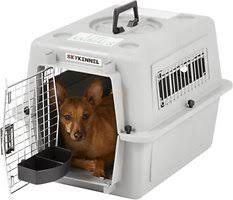 Petmate Sky Kennel Small Chewy Com