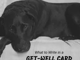 get well card for a pet