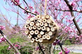 This ensures the bee house will protect the nesting materials. How To Make Bee House Diy Koti Beth