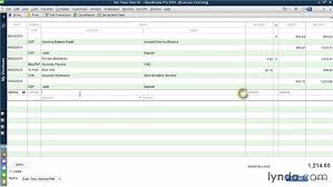 Working With Check Registers Manually