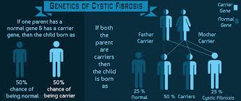 Cystic Fibrosis Symptoms Causes Diagnosis Treatment