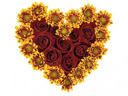 heart flowers red maroon gold love