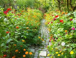 Waterwise Cottage Garden In Perth