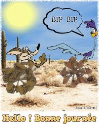 Vil coyote et Bip Bip - gif animé Bonne journée - les gifs animés de  dentelledelune