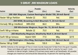 Pros Cons Of The 300 Magnums
