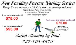 carpet cleaning by paul palm harbor