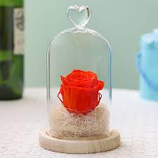 Forever Orange Flame Rose In Glass Dome
