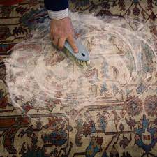 area rug moth removal mothproofing