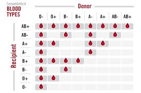3 000 Blood Donors Needed To Replenish Spore Stock Of O A